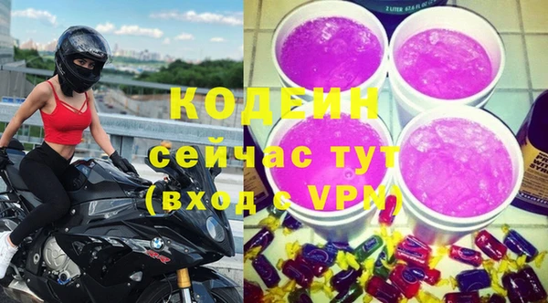 дживик Вязьма