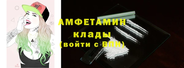 дживик Вязьма