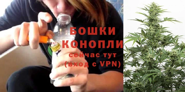 дживик Вязьма
