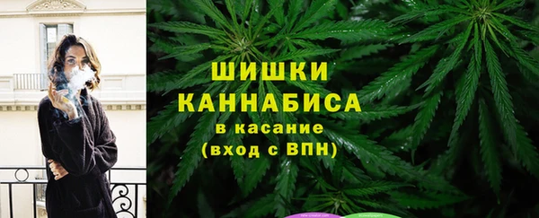 дживик Вязьма