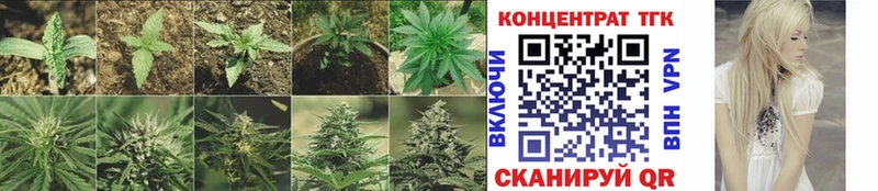 ТГК Wax  Купить закладки  Кропоткин 