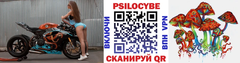 Псилоцибиновые грибы мицелий  Купить где  Кропоткин 